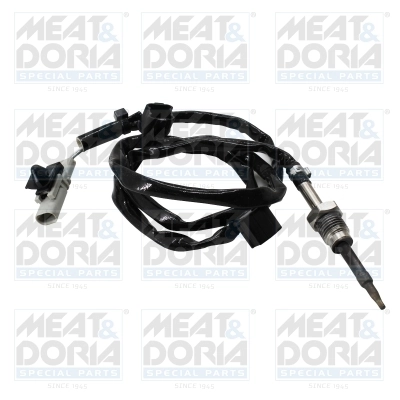 Sensor, exhaust gas temperature